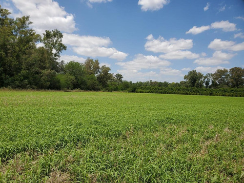 Imagen 12 de 21 de Venta En Estancia El Aduar Club De Chacras 2 Has Bosque Y Llano, Con Mejoras