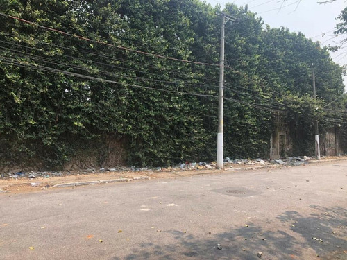 Imagem 4 de 7 de Terreno À Venda, 3300 M² Por R$ 9.200.000 - Ipiranga - São Paulo/sp - Te0506