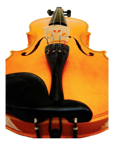 Violín 4-4 Acústico Profesional Madera Estuche Y Accesorios