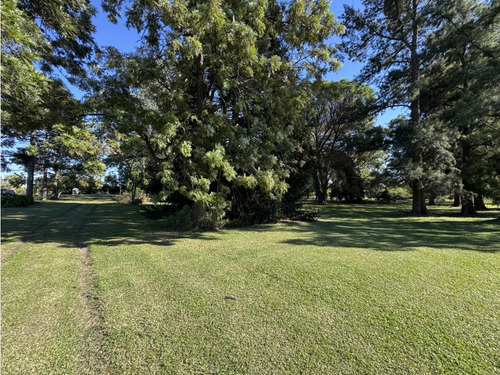 Vendo Lote De 1 Ha En Talita, Concepción Del Uruguay, Entre Ríos.