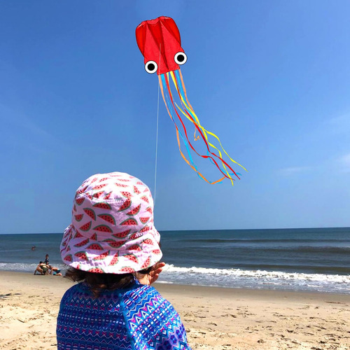 Cometa Pulpo Grande Juego Aire Libre Cometa Fácil De Volar