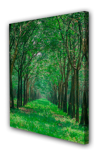 Cuadro 20x30cm Arbol Bosque Naturaleza M3