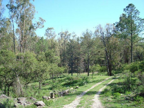 Terreno - Villa Del Dique