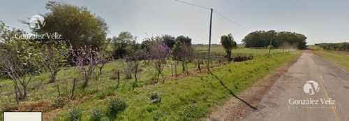 Chacra Sobre Ruta 97 Palmira