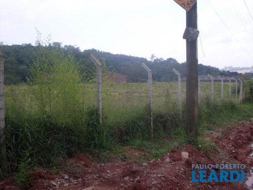 Imagem 3 de 5 de Terreno - Vila Santo Antônio - Sp - 184925