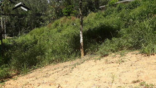 Imagem 5 de 13 de Terreno No Condomínio Recanto Suiço - 240