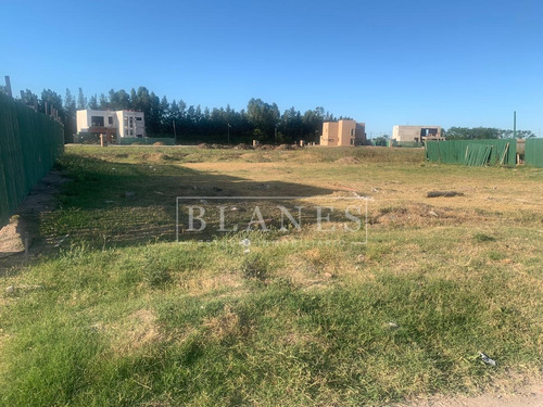 Imagen 4 de 29 de Retasado! Lote De 740 M2 En Lagos De Canning 1 - Excelente Ubicación!