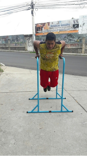 Paralelas Para Calistenia, Fondos, Dip Entrenamiento En Casa