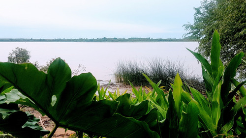 Lotes Venta 2da Secc. Delta, Islas Sobre Paraná De Las Palma