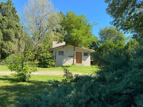 Imagen 6 de 19 de Venta De Complejo De Cabañas