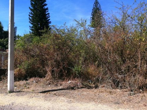Imagen 5 de 5 de Terreno En Venta Campo Sotelo