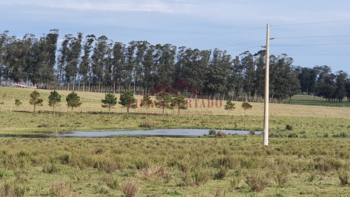 Exclusividad...inversión Asegurada En Las Garzas Uds 12.800 X 25 Has.- Ref: 593