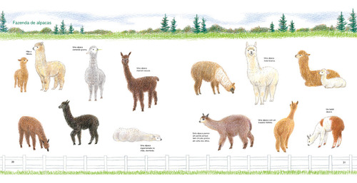 Como Desenhar Animais Com Lápis De Cor