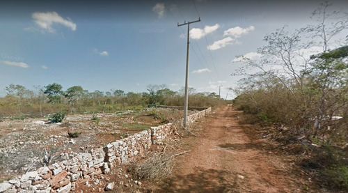 Imagen 6 de 9 de Terreno De 1 Hectárea En Venta En Conkal Merida. Gran Oportunidad!