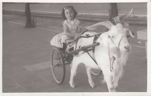 1958 Piriapolis Fotografia Sulky Infantil Tirado Por Cabra 