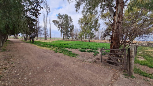 Venta Finca 51ha Con Dos Pozos Lujan