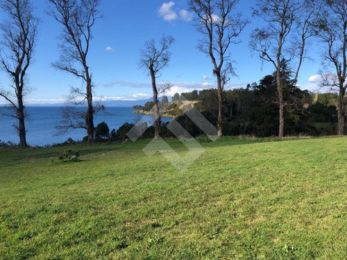 Vendemos 5 Parcelas Con Orilla De Lago En Puerto Varas