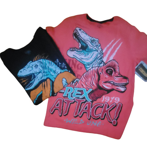 Camisas Franelas Niños Dinosaurios