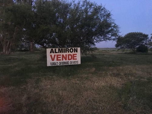 Impresionante Lote | 1600 M² | Monje | Barrio Delta Del Bucare