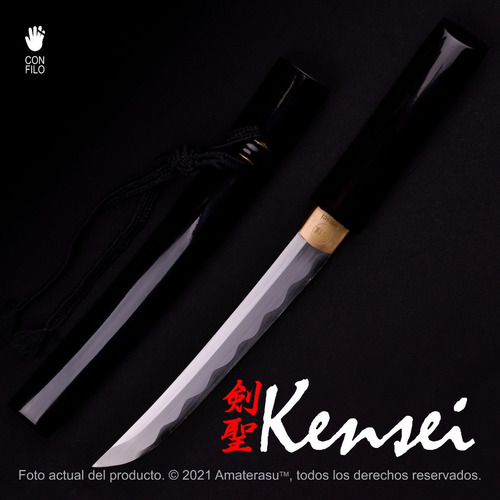 Imagen 2 de 10 de Katana Tanto Amaya Full Tang Filo Extremo Kensei