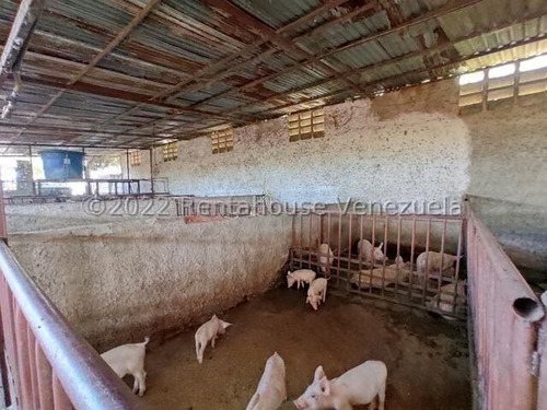 Imagen 14 de 20 de Casa En Venta En Zona Centro Santa Cruz De Aragua 22-24564 Irrr