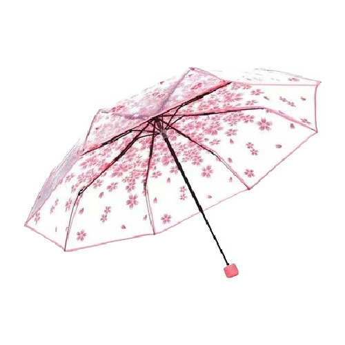 Paraguas Transparentes Con Estampado De Flores
