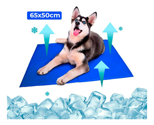 Imagem 5 de 7 de Colchonete Pet Tapete Gelado 65cmx50cm Caminha De Cachorros