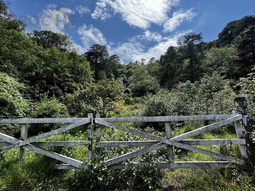 Terreno A Orilla De Carretera En Venta En Acajete Veracruz.