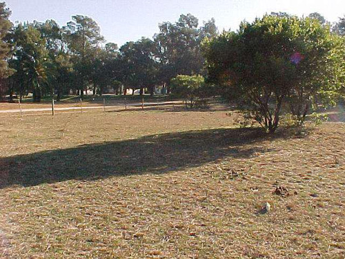 Rambla Costanera