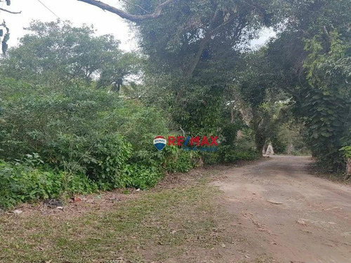 Imagem 5 de 9 de Terreno Multifamiliar Frente A Lagoa - Te0014