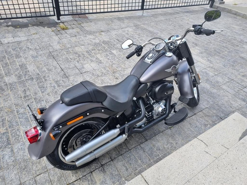 Imagem 3 de 8 de Harley-davidson