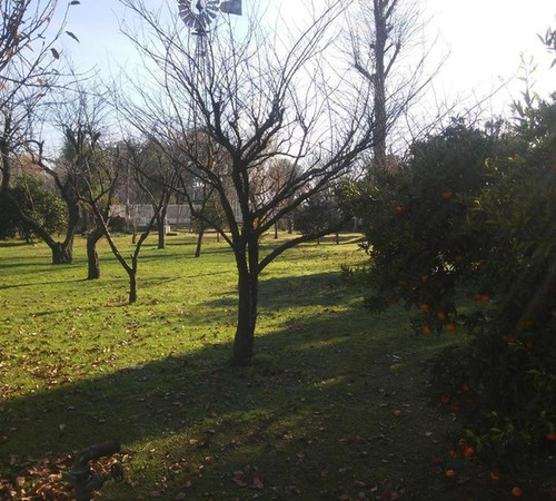 Casa Quinta 4 Amb. Sobre 2 Lotes De 5000m2 Cada Uno