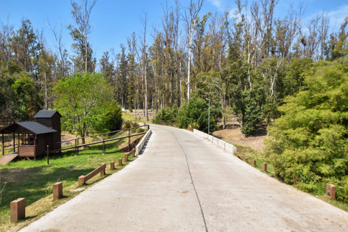Venta Lote Terreno Campo Timbó Club De Campo Golf