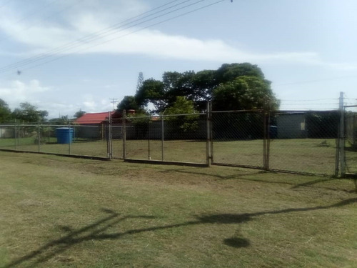 Imagen 2 de 4 de Lote De Terreno En Sector Los Alpes, Tacarigua De Mamporal