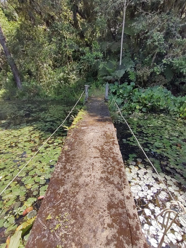 Imagem 6 de 17 de Sítio À Venda Em Juquitiba Com 4 Alqueires Lagos Ótima Localização