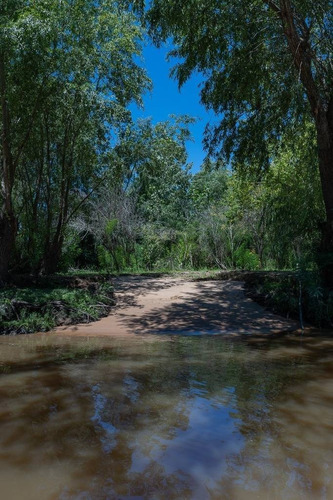 Imagen 13 de 13 de Venta - Lote - Terreno - Isla Del Caraguata - Islas Del Delta - Tigre