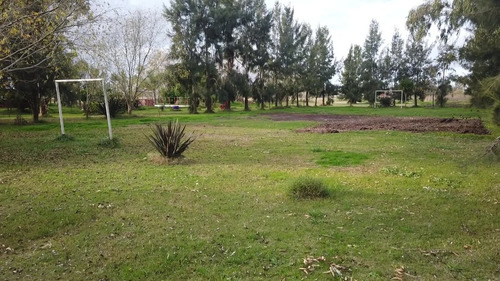 Imagen 9 de 9 de Campo/chacra En Chascomús 3 Ha - Con Emprendimiento Avícola