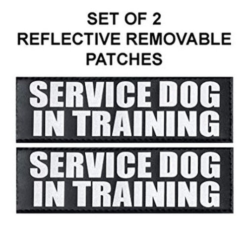 Doggie Stylz Set De 2 Perros De Servicio Reflectantes En Par