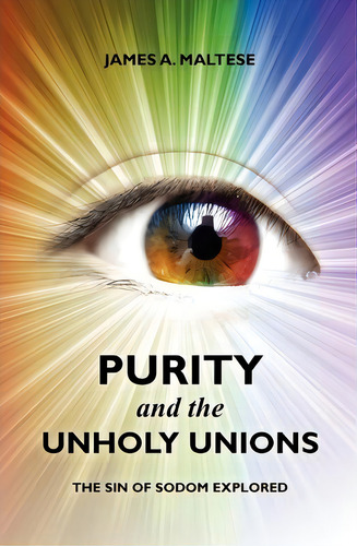 Purity And The Unholy Unions: The Sin Of Sodom Explored, De James A Maltese., Vol. 1. Editorial Createspace Independent Publishing Platform, Tapa Blanda En Inglés