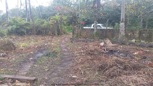 Imagem 3 de 17 de Chácaras Na Praia À Venda Em Itanhaem/sp - Compre O Seu Chácaras Na Praia Aqui! - 1420887