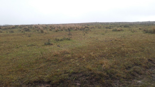 7 Hectáreas Y Media,chacra A La Venta En Canelones