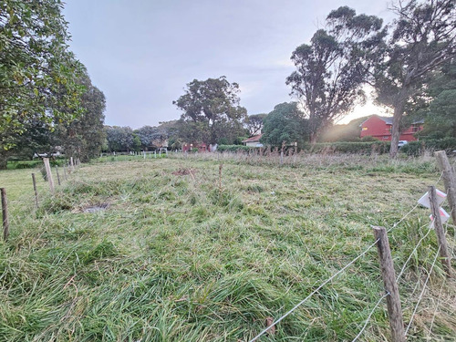 Terreno A La Venta En Playa Los Lobos