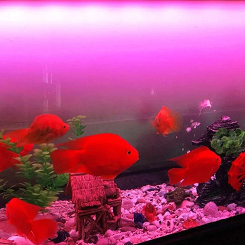 Imagem 5 de 5 de Lampada Fluorescente Tubular 20w Rosa T8 60cm Aquário