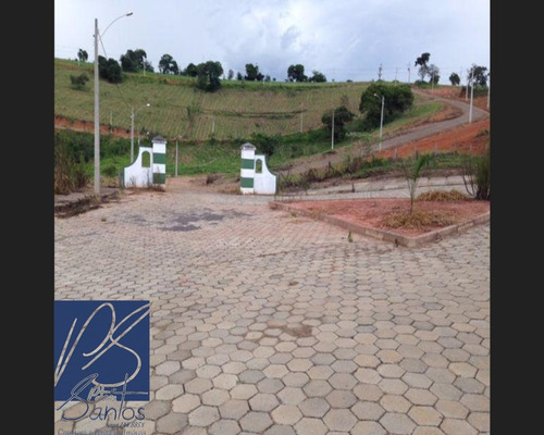 Imagem 6 de 14 de Terreno - Te00047 - 67818206