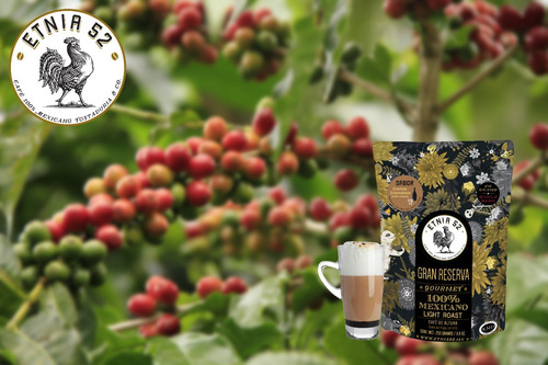 Imagen 3 de 5 de Café En Grano Saborizado Etnia 52 - 250 Gr