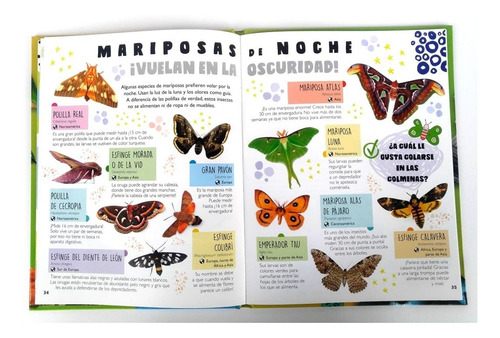 Libros Animales Del Mar/ Serpientes, Reptiles E Insectos