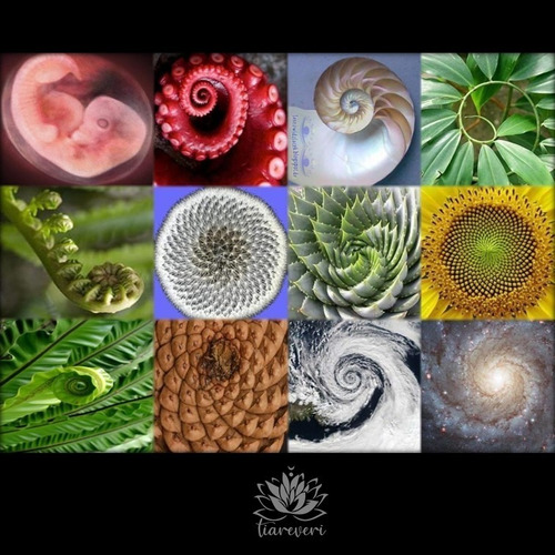 Péndulo Espiral Oro Rosa + Instructivo / Reiki / Radiestesia