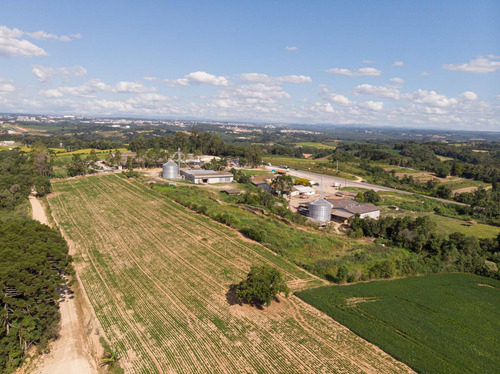 Imagem 3 de 17 de Terreno/ Área 20.000m² A Venda Em Araucária Pr. - Te00002 - 68828711
