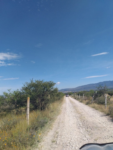 Imagen 2 de 12 de Terreno Propio Para Proyecto Residencial Campestre En San Miguel De Allende