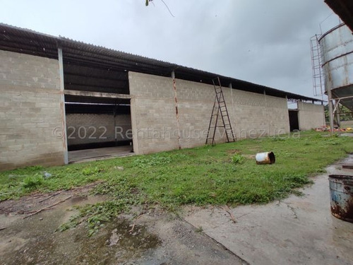 Imagen 22 de 23 de En Venta Amplio Terreno Con Granja Agricola Ubicado En La Estratégica Av Los Aviadores 23-8117 Ejc